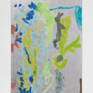 Quisiera ser un pez, serie